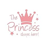 NerYuo Prinzessin Wandaufkleber Wandaufkleber Mädchen Schlafzimmer Dekor Babyzimmer Kunst Aufkleber Wandtattoo DIY Home Decor für Zuhause Wohnzimmer Schlafzimmer Korridor Dekoration