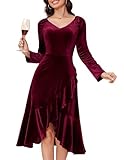 Wedtrend Samtkleid Baumwollsamt Rot Langarm A Linie mit Abendkleider V Ausschnitt Elegante Kleider Damen Partykleider Cocktailkleid WTSR001BurgundyL