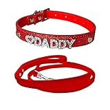 YES DADDY Halsband und Leine – Set Daddy Dom DDLG/ABDL Leder (rot)