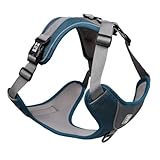 Duvo+ No-Pull Harness Classic Petrol Blue L - 48-58cm - 58-81cm