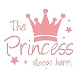 NerYuo Prinzessin Wandaufkleber Wandaufkleber Mädchen Schlafzimmer Dekor Babyzimmer Kunst Aufkleber Wandtattoo DIY Home Decor für Zuhause Wohnzimmer Schlafzimmer Korridor Dekoration