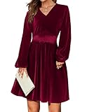 Zeagoo Damen Winterkleid Langarm V-Ausschnitt Samtkleid Hohe Taille A-Linie Elegant Kleid Einfarbig Party Kleider Casual Minikleid Rotwein M