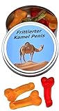 Frittierter Kamel Penis aus der Dose Scherzartikel Lustige Geschenkidee Party Brüller Spaßgeschenk Halloween Geburtstagsgeschenk.