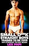 Small D**k Straight Boys: Trained To Be Toys: MM Straight To Gay BDSM (Gay Slaves Book 20) (English Edition)