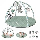 Blissful Diary Spielbogen Baby, Spieldecke Baby Gym Activity Decke mit 6 Abnehmbare Spielzeuge, krabbeldecke Einfach zu Installieren und zu Reinigen, Unverzichtbare Babygeschenke, Salbeigrün