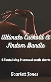 Ultimate Cuckold & Findom Bundle: 6 Tantalising and sensual erotic shorts (English Edition)