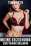Meine Erziehung zur Trans Sklavin: FemDom Malesub Erotik Deutsch