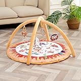 Baby Spielbogen Montessori 0-12 Monate | Evolutive Spieldecke mit Bogen für Mädchen und Jungen | Dicke und Bequeme Spielmatte | Sensorisches Activity Gym | Baby Krabbeldecke | Pädagogische Spielmatte