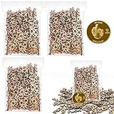 300pcs Fucks to Give-Fuck Wooden Cutouts Letter Piece & Fuck Gold Coin DIY Jar of Fucks Gift Jar, Funny Gifts for Men Women, Christmas Birthday Valentines Day Gift, White Elephant Gift, Gag Gift