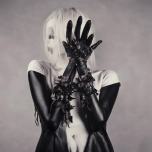 Ungeahnte Erkenntnisse: Die Femdom Rules für Neugierige