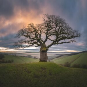 Elegante Kostüm-Accessoires: Rüschenkragen & -ärmelsätze