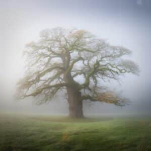 Effektive Femdom Haushaltsregeln für strukturierte Partnerschaften