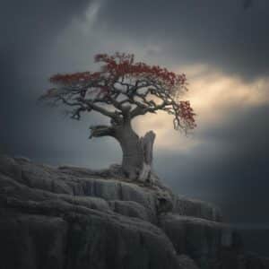 Femdom Chat Deutsch: Diskutieren und Austauschen in der Szene