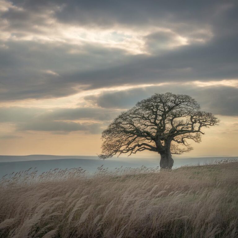 Effektives Edging-Training: Grundlagen und Techniken auf Deutsch