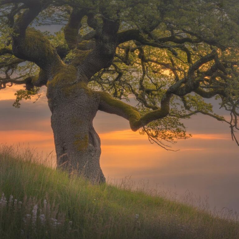 Wie kann man ein besserer Mann werden? Tipps und Strategien