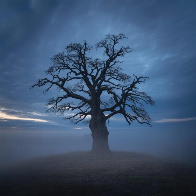 Lack Heels kaufen: Stilvolle Modelle für jeden Anlass entdecken