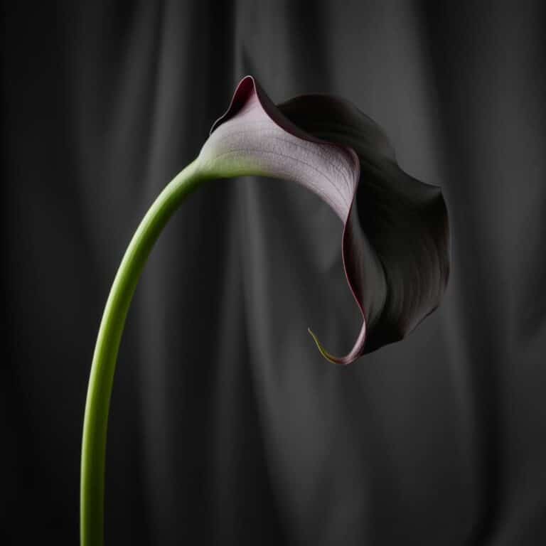 Die besten Kosmetiktrolleys: Praktische Reisebegleiter für Profis