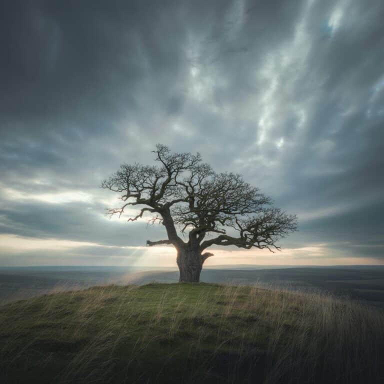 Feminierungstipps: Praktische Ratschläge für ein erfolgreiches Ergebnis