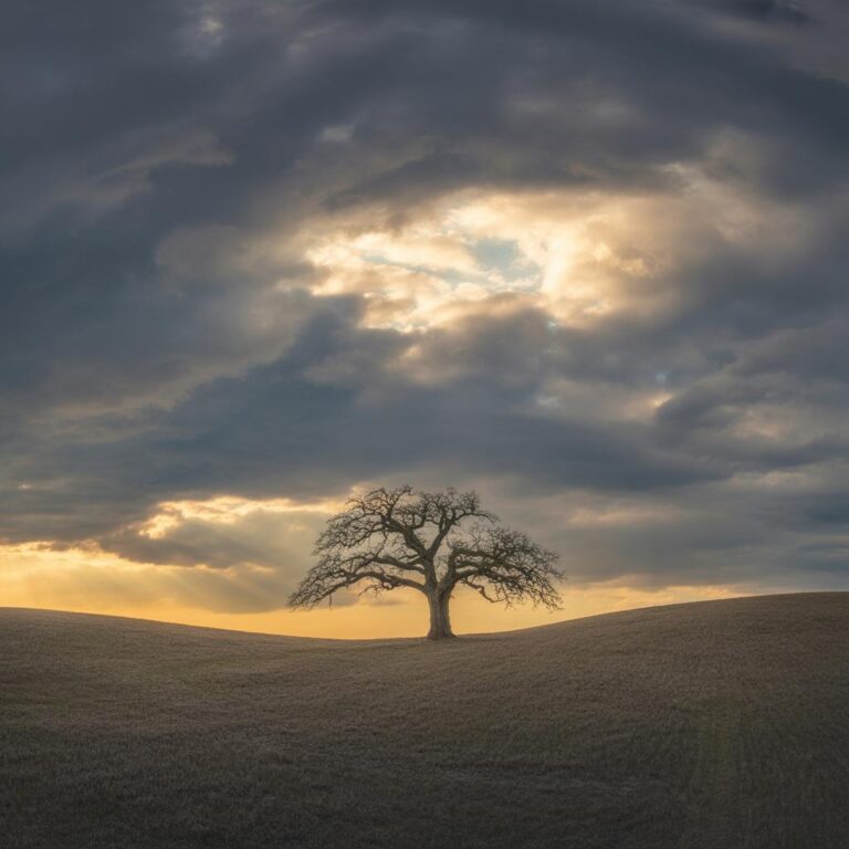 BDSM-Equipment für Einsteiger: Praktische Tipps und Auswahlhilfe