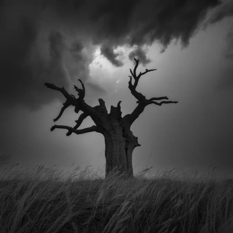 Lippenstift für Männer: Der passende Lip Balm für jeden Anlass