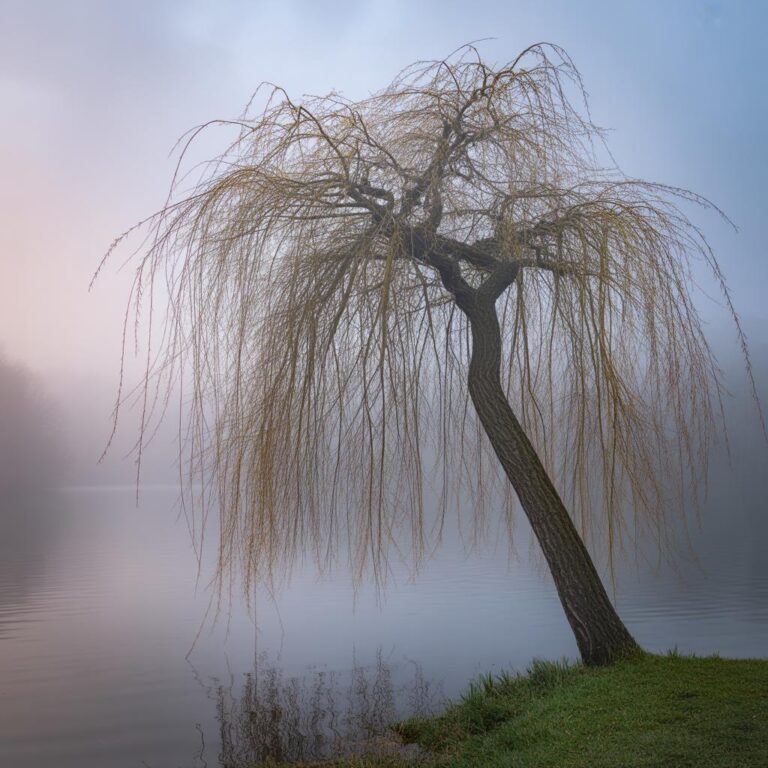 Femininer Gang: Stilvolle Tipps für Auftritt und Selbstbewusstsein
