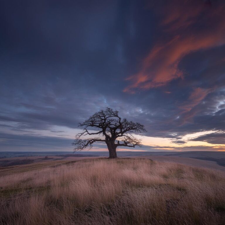 Tabulose Feminisierung: Ein umfassender Blog über Geschlechtsidentität